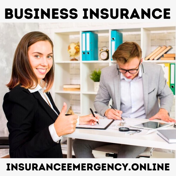 The Role of Insurance in Business