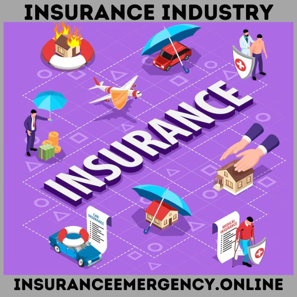 Introduction to the Insurance Industry