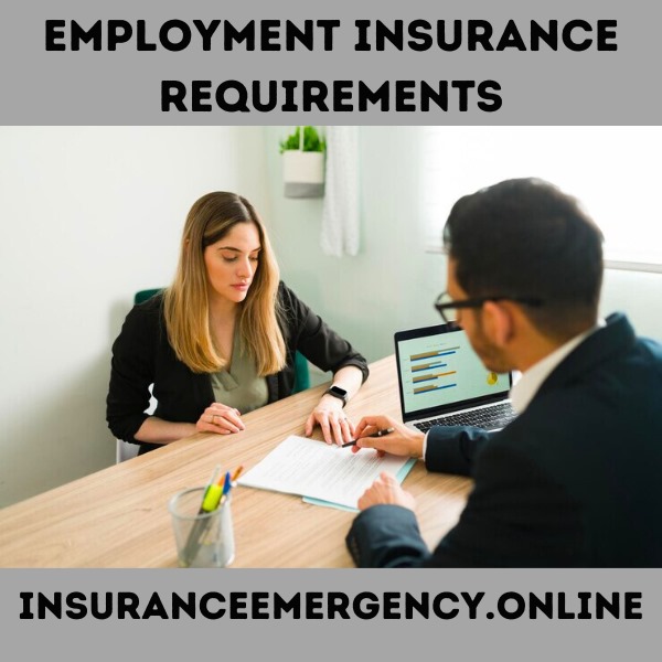 Employment Insurance Requirements