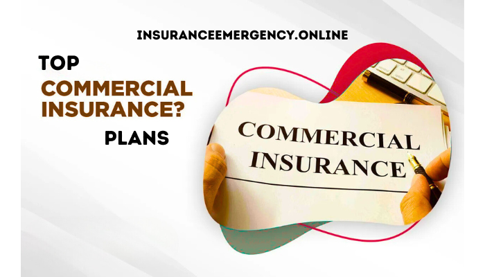 Top Commercial Insurance Plans for Small Businesses