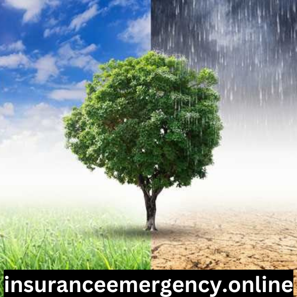 Climate Risk Insurance for Businesses