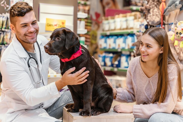 Top Pet Insurance Providers Which One is Right for You